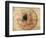 Scarab and Ra, Tomb of Seti, Egypt, 1910-Walter Tyndale-Framed Giclee Print