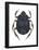 Scarab Beetle (Canthon Pilularius), Insects-Encyclopaedia Britannica-Framed Poster