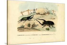 Scarab Beetles, 1863-79-Raimundo Petraroja-Stretched Canvas