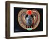 Scarab Pectoral, from the Tomb of Tutankhamun, in the Valley of the Kings at Thebes, c. 1361-52 BC-null-Framed Premium Giclee Print