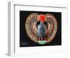 Scarab Pectoral, from the Tomb of Tutankhamun, in the Valley of the Kings at Thebes, c. 1361-52 BC-null-Framed Premium Giclee Print