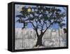 Scarab Tree-Blenda Tyvoll-Framed Stretched Canvas