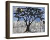 Scarab Tree-Blenda Tyvoll-Framed Giclee Print