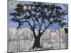 Scarab Tree-Blenda Tyvoll-Mounted Giclee Print