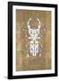 Scarabeo Dorato I-Amy Shaw-Framed Giclee Print