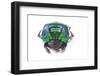 Scarabidae Beetle from Peru Oxysternus Selenium-Darrell Gulin-Framed Photographic Print