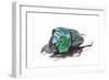 Scarabidae Beetle from Peru Oxysternus Selenium-Darrell Gulin-Framed Photographic Print