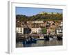 Scarborough, Harbour and Seaside Resort with Castle on the Hill, Yorkshire, England-Adina Tovy-Framed Photographic Print