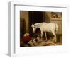 Scarbro, an Old Cover Hack-Edwin Landseer-Framed Giclee Print