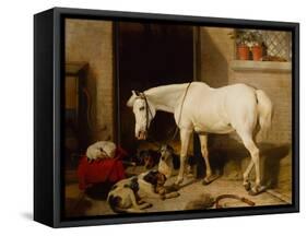 Scarbro, an Old Cover Hack-Edwin Landseer-Framed Stretched Canvas