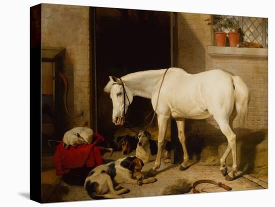 Scarbro, an Old Cover Hack-Edwin Landseer-Stretched Canvas