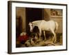 Scarbro, an Old Cover Hack-Edwin Landseer-Framed Giclee Print