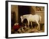 Scarbro, an Old Cover Hack-Edwin Landseer-Framed Giclee Print