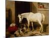 Scarbro, an Old Cover Hack-Edwin Landseer-Mounted Giclee Print