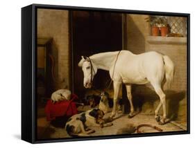 Scarbro, an Old Cover Hack-Edwin Landseer-Framed Stretched Canvas