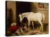 Scarbro, an Old Cover Hack-Edwin Landseer-Stretched Canvas