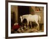 Scarbro, an Old Cover Hack-Edwin Landseer-Framed Premium Giclee Print