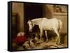 Scarbro, an Old Cover Hack-Edwin Landseer-Framed Stretched Canvas