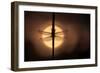 Scarce Chaser dragonfly silhouetted against the rising sun, UK-Ross Hoddinott-Framed Photographic Print