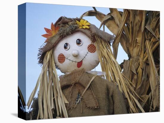 Scarecrow and Dead Corn Husks, Carnation, Washington, USA-Merrill Images-Stretched Canvas