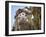 Scarecrow and Dead Corn Husks, Carnation, Washington, USA-Merrill Images-Framed Photographic Print