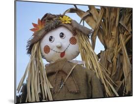 Scarecrow and Dead Corn Husks, Carnation, Washington, USA-Merrill Images-Mounted Photographic Print