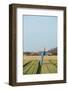 Scarecrow in Agriculture Field at Dutch Island Texel-Ivonnewierink-Framed Photographic Print