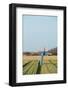 Scarecrow in Agriculture Field at Dutch Island Texel-Ivonnewierink-Framed Photographic Print