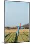 Scarecrow in Agriculture Field at Dutch Island Texel-Ivonnewierink-Mounted Photographic Print