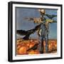 "Scarecrow," October 26, 1946-John Atherton-Framed Premium Giclee Print