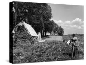 Scarecrow on a Farm-null-Stretched Canvas