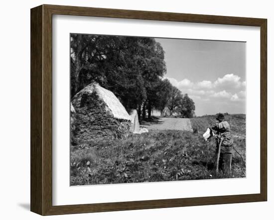 Scarecrow on a Farm-null-Framed Photographic Print