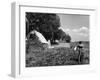 Scarecrow on a Farm-null-Framed Photographic Print