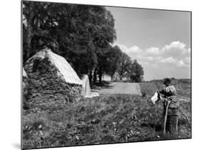 Scarecrow on a Farm-null-Mounted Photographic Print