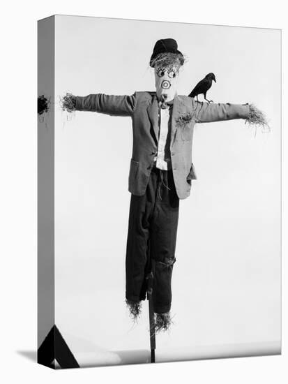 Scarecrow with Crow on His Shoulder-null-Stretched Canvas