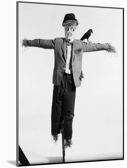 Scarecrow with Crow on His Shoulder-null-Mounted Photographic Print