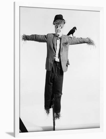 Scarecrow with Crow on His Shoulder-null-Framed Photographic Print