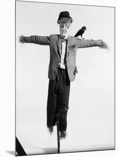 Scarecrow with Crow on His Shoulder-null-Mounted Photographic Print