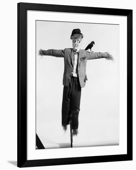 Scarecrow with Crow on His Shoulder-null-Framed Photographic Print