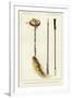 Gramercy White