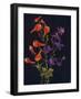 'Scarlet and Blue Larkspur',  c1915, (1915)-Emma Graham Clock-Framed Giclee Print