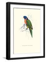 Scarlet-Collerd Parakeet - Trichoglossus Rubritorquis-Edward Lear-Framed Art Print