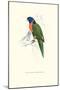 Scarlet-Collerd Parakeet - Trichoglossus Rubritorquis-Edward Lear-Mounted Art Print