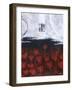 Scarlet Creation III-Herb Dickinson-Framed Photographic Print