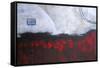Scarlet Creation-Herb Dickinson-Framed Stretched Canvas