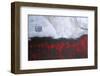 Scarlet Creation-Herb Dickinson-Framed Photographic Print