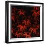 Scarlet Evening-Farrell Douglass-Framed Giclee Print