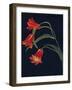 'Scarlet Fritillaria',  c1915, (1915)-Emma Graham Clock-Framed Giclee Print