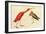 Scarlet Ibis-John James Audubon-Framed Art Print