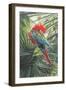 Scarlet Macaw, 1989-Sandra Lawrence-Framed Giclee Print